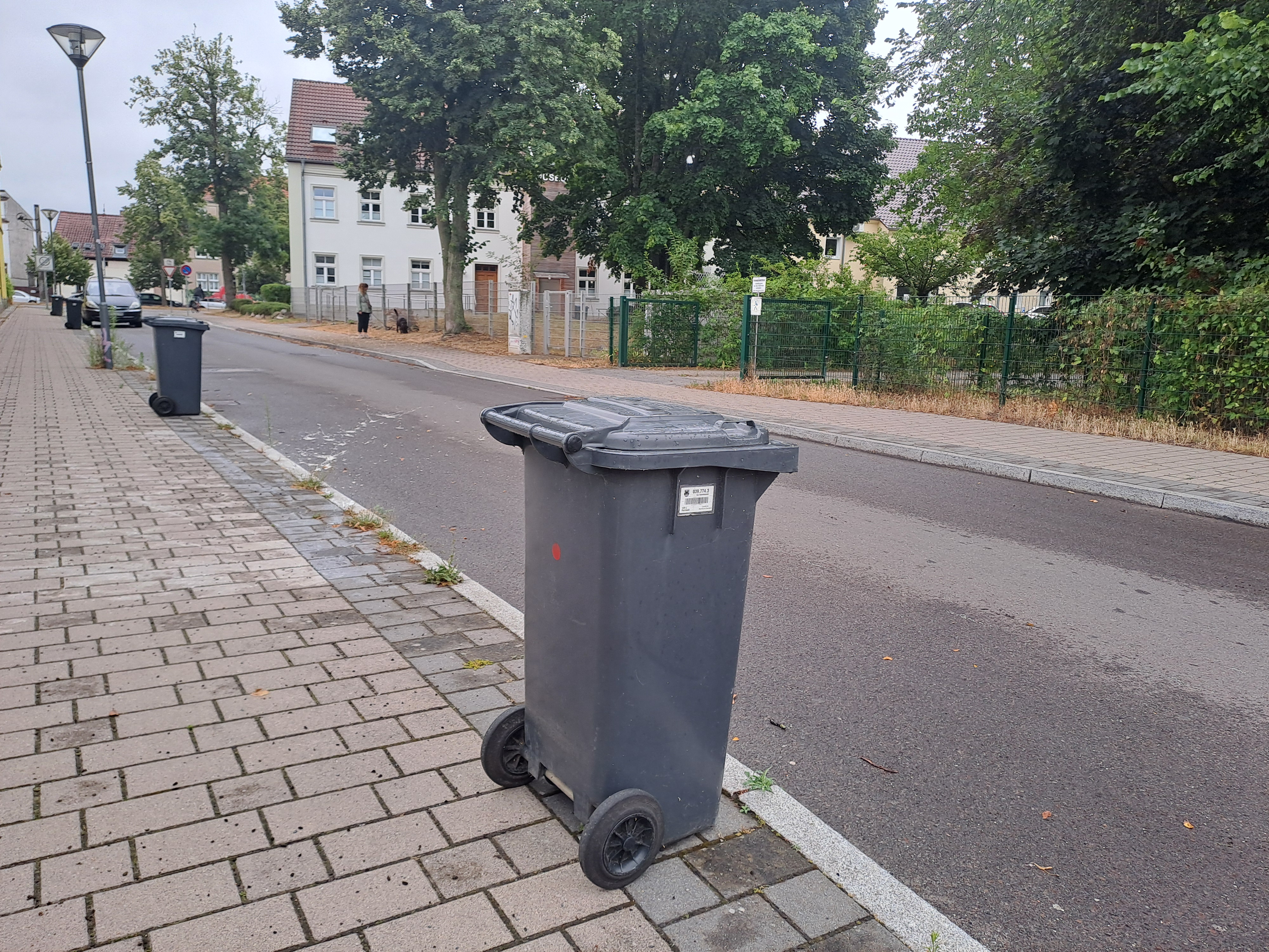 Schwarze Restmülltonne steht an der Fahrbahnkante. Foto: EMO